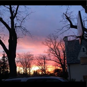 Meet your Posher, Molly